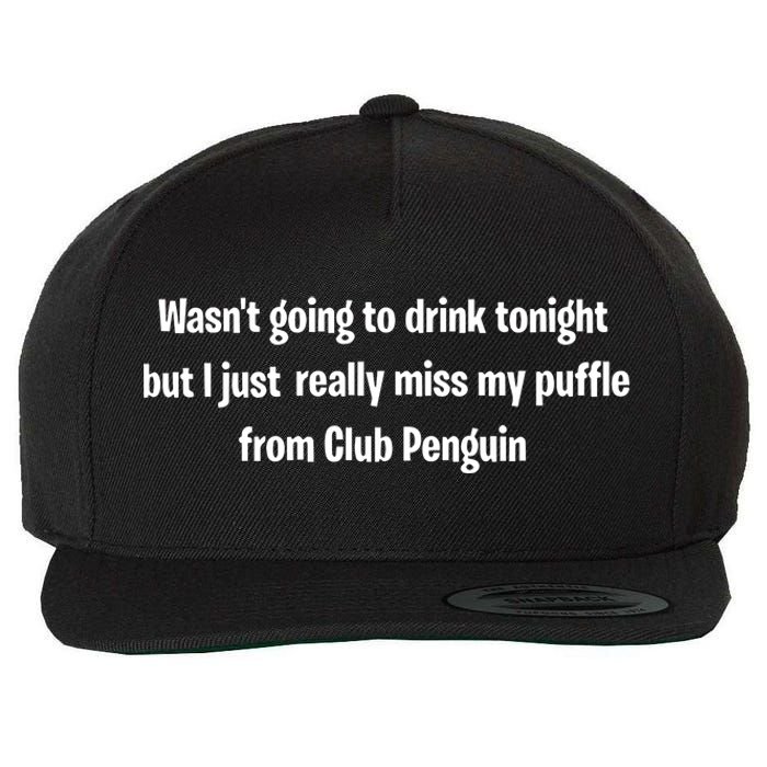 Wasnt Going To Drink Tonight But I Really Miss My Puffle From Club Pengui Wool Snapback Cap