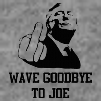 Wave Goodbye To Joe American Flag Toddler Hoodie