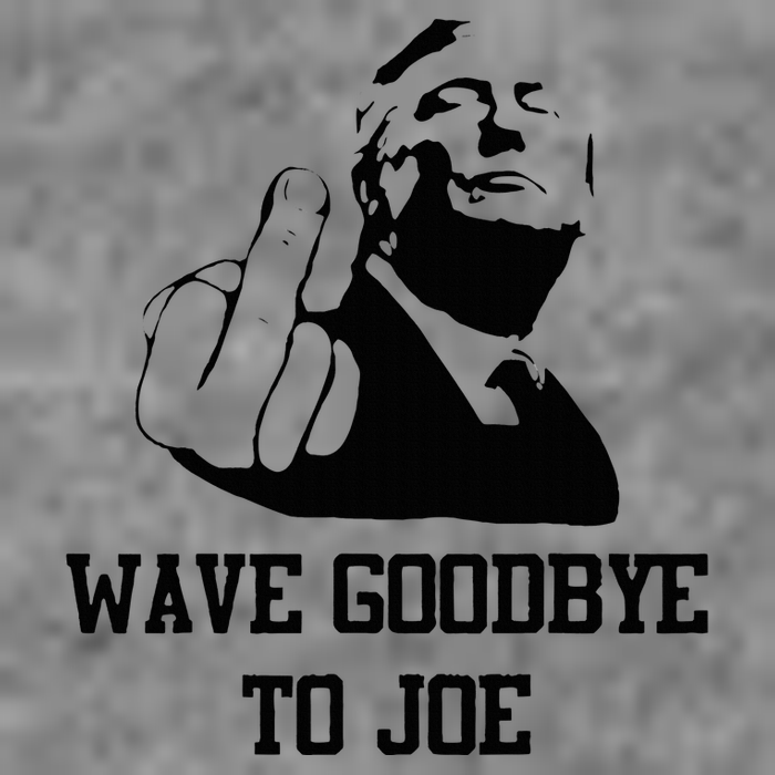 Wave Goodbye To Joe American Flag Toddler Hoodie