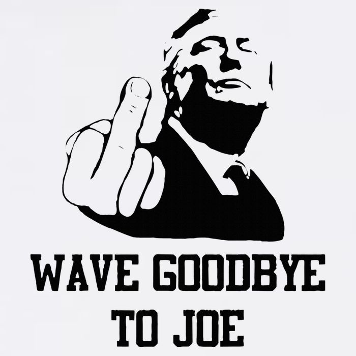 Wave Goodbye To Joe American Flag Mesh Reversible Basketball Jersey Tank