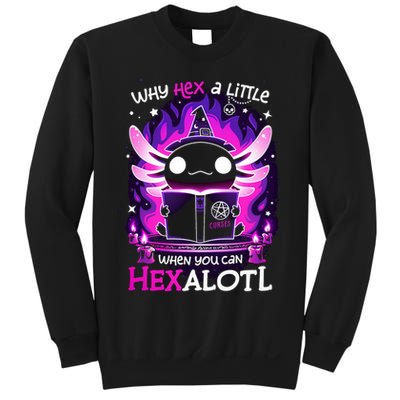 Why Hex A Little When U Can Hex Alotl Axolotl Halloween  Sweatshirt