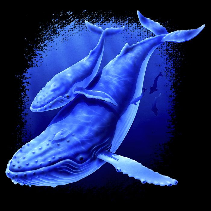Whale Song of the Deep Backpack