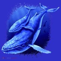 Whale Song of the Deep T-Shirt