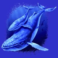Whale Song of the Deep Premium T-Shirt
