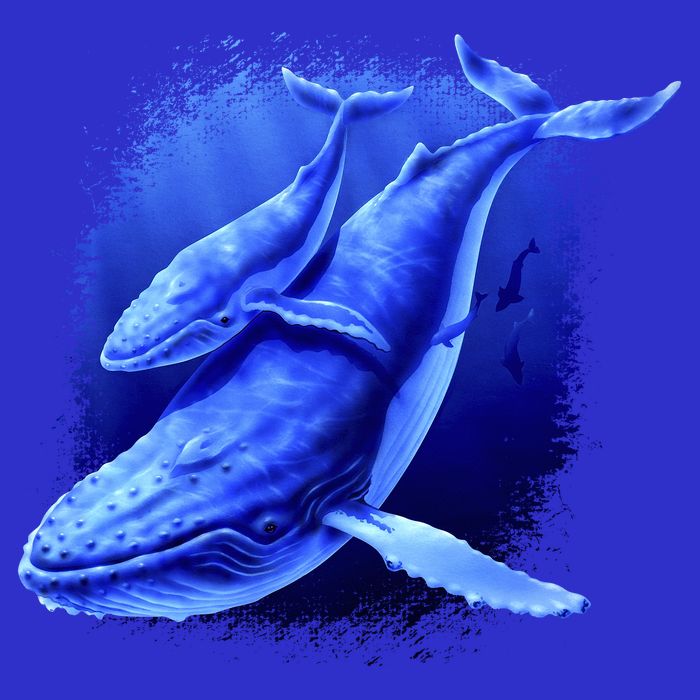 Whale Song of the Deep Premium T-Shirt