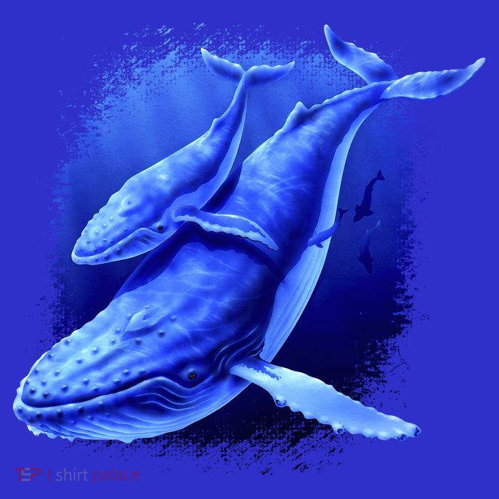 Whale Song of the Deep Toddler Sweatshirt