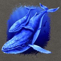 Whale Song of the Deep Cotton Canvas Backpack