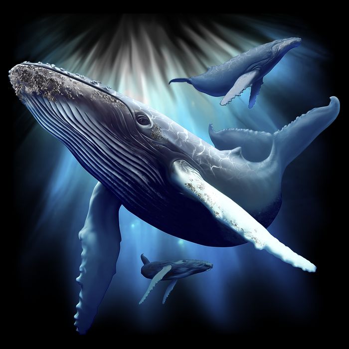 Whales Cooling Performance Crew T-Shirt