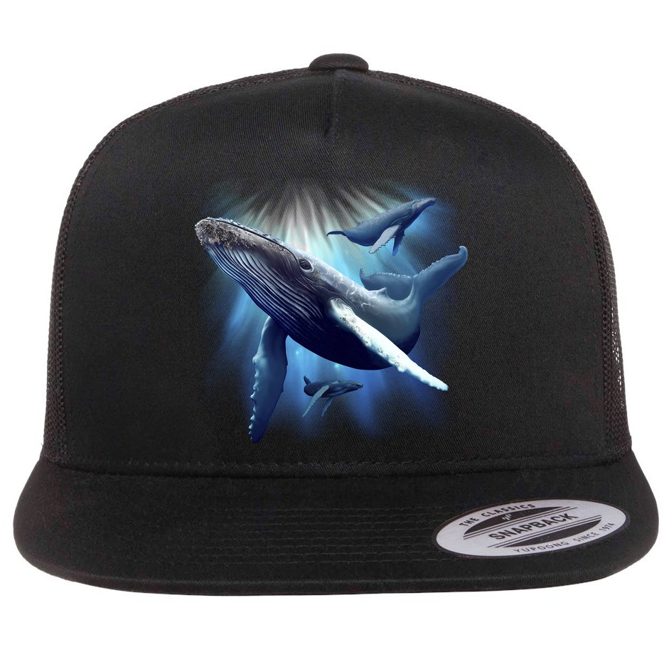 Whales Flat Bill Trucker Hat
