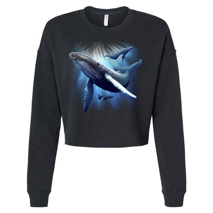 Whales Cropped Pullover Crew