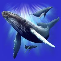 Whales T-Shirt
