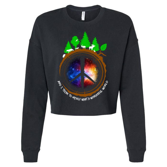 What A Wonderful World Cropped Pullover Crew