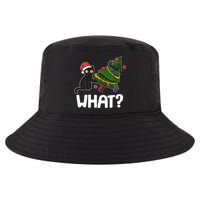 What? Bad Cat Knocking Over Christmas Tree Cool Comfort Performance Bucket Hat