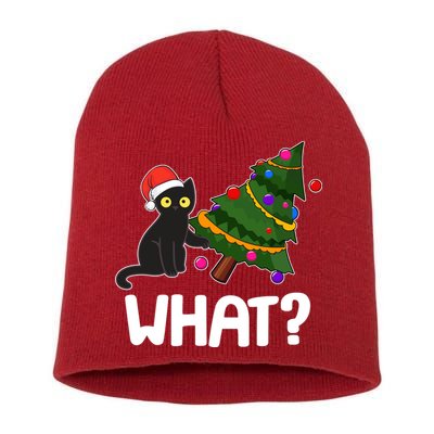 What? Bad Cat Knocking Over Christmas Tree Short Acrylic Beanie