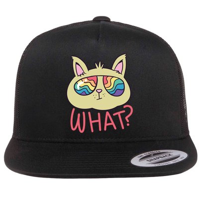 What Cat Rainbow Sunglasses Flatbill Hat