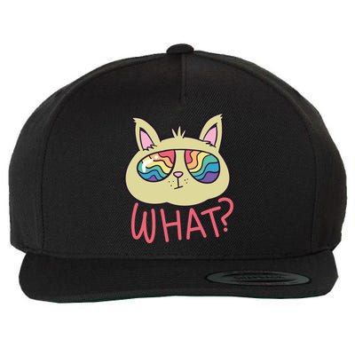 What Cat Rainbow Sunglasses Wool Snapback Cap