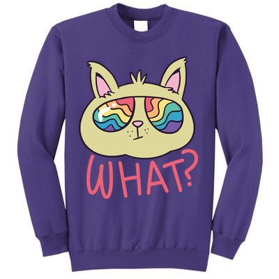 What Cat Rainbow Sunglasses Sweatshirt