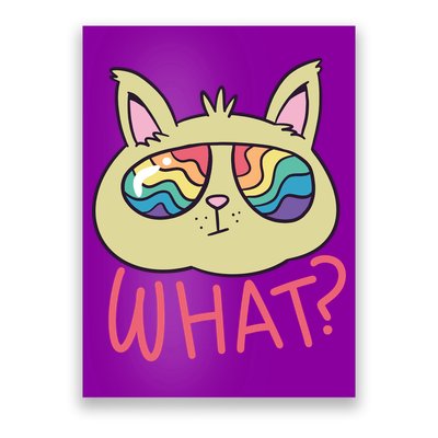 What Cat Rainbow Sunglasses Poster