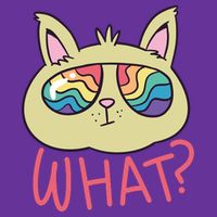 What Cat Rainbow Sunglasses Ladies Long Sleeve Shirt