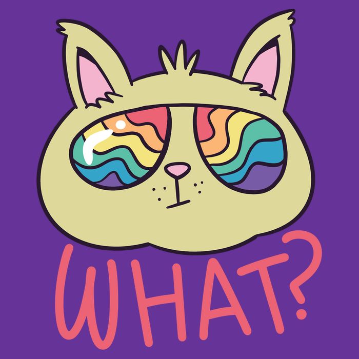 What Cat Rainbow Sunglasses Ladies Long Sleeve Shirt