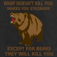 What Doesn't Kill You Makes You Stronger Except For Bears 7 Panel Mesh Trucker Snapback Hat