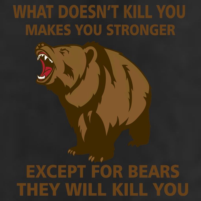 What Doesn't Kill You Makes You Stronger Except For Bears 7 Panel Mesh Trucker Snapback Hat
