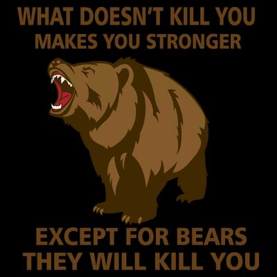 What Doesn't Kill You Makes You Stronger Except For Bears T-Shirt