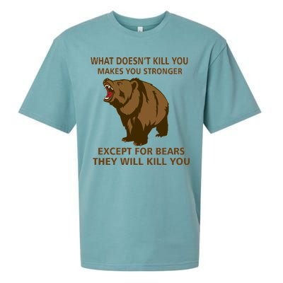 What Doesn't Kill You Makes You Stronger Except For Bears Sueded Cloud Jersey T-Shirt