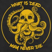What Is Dead May Never Die Adult Drive Performance Visor