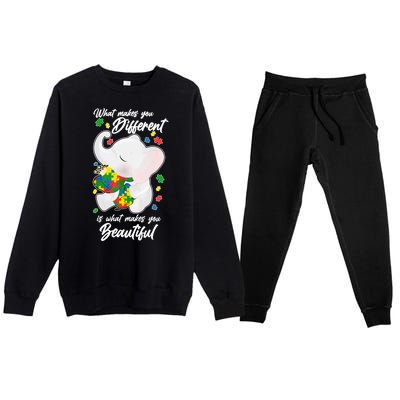 What Makes You Different Is What Makes You Beautiful Autism Premium Crewneck Sweatsuit Set