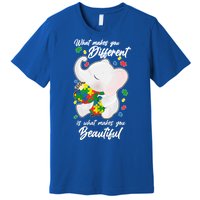 What Makes You Different Is What Makes You Beautiful Autism Premium T-Shirt