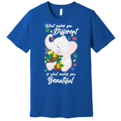 What Makes You Different Is What Makes You Beautiful Autism Premium T-Shirt