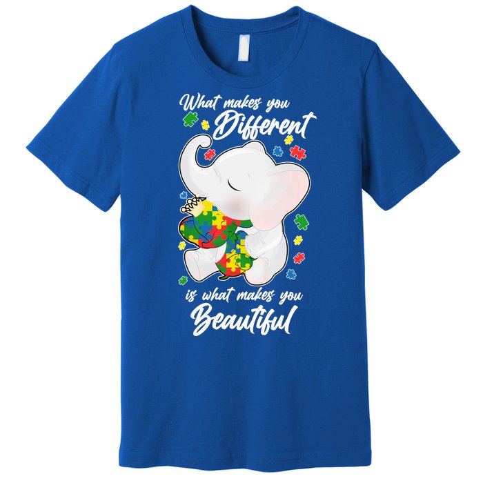 What Makes You Different Is What Makes You Beautiful Autism Premium T-Shirt