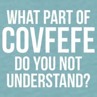 What Part of Covfefe Do You Not Understand? Sueded Cloud Jersey T-Shirt