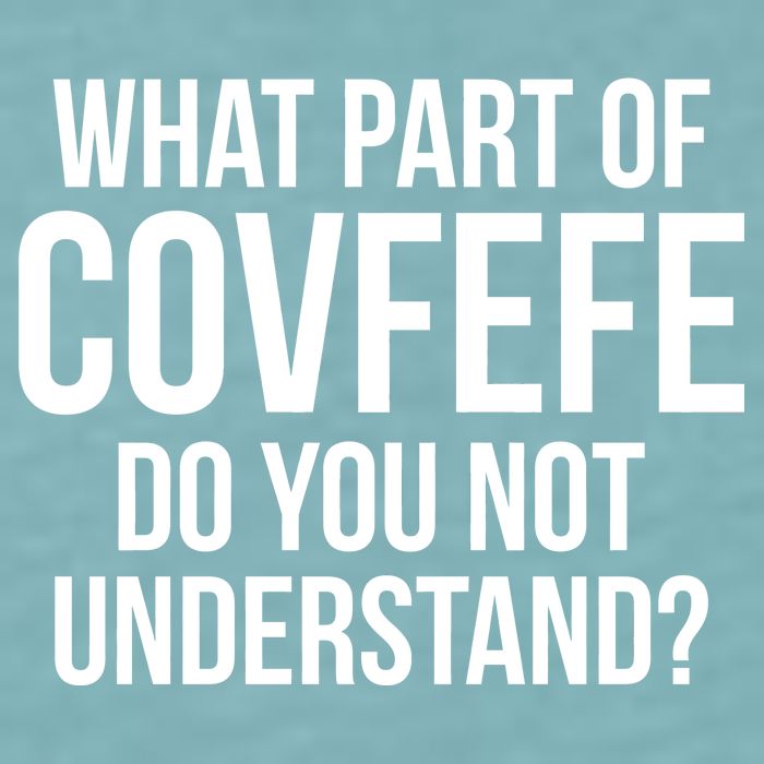 What Part of Covfefe Do You Not Understand? Sueded Cloud Jersey T-Shirt