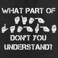 What Part Of Silent Language Don't You Understand 7 Panel Mesh Trucker Snapback Hat