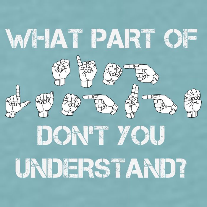 What Part Of Silent Language Don't You Understand Sueded Cloud Jersey T-Shirt