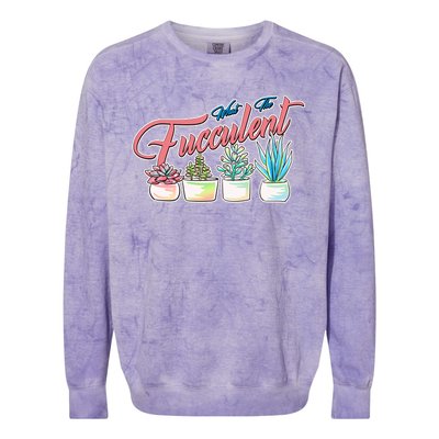 What the Fucculent Succulent Fanatic Plant Collector Colorblast Crewneck Sweatshirt