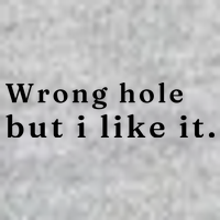 Wrong Hole But I Like It Funny T-Shirt