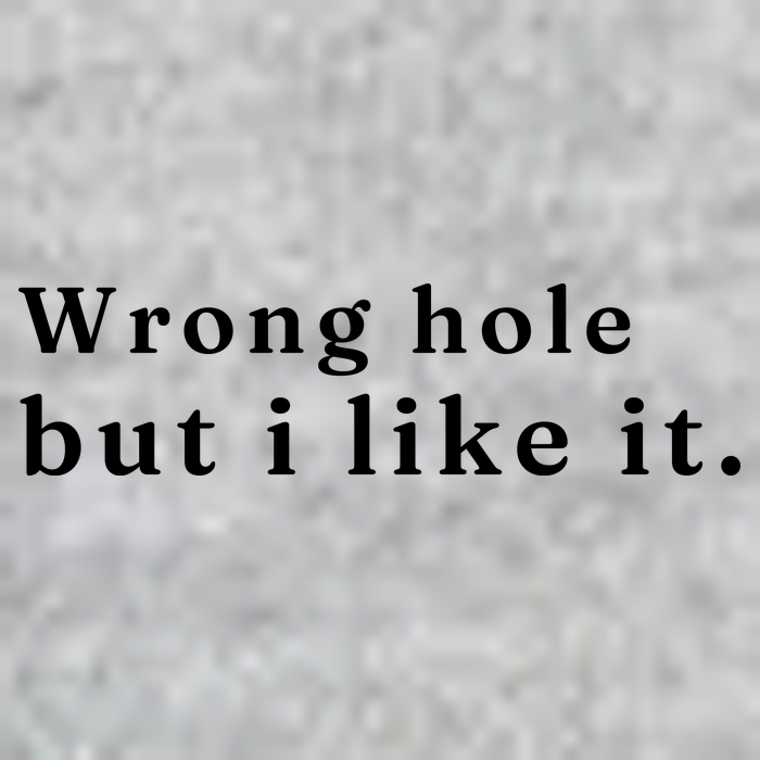 Wrong Hole But I Like It Funny T-Shirt