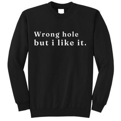 Wrong Hole But I Like It Funny Sweatshirt