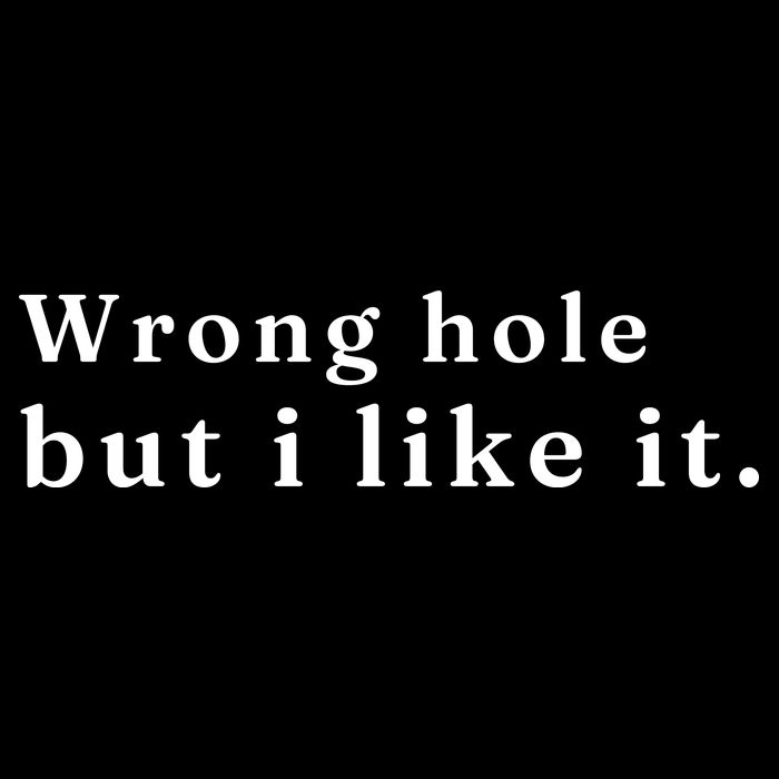 Wrong Hole But I Like It Funny Button