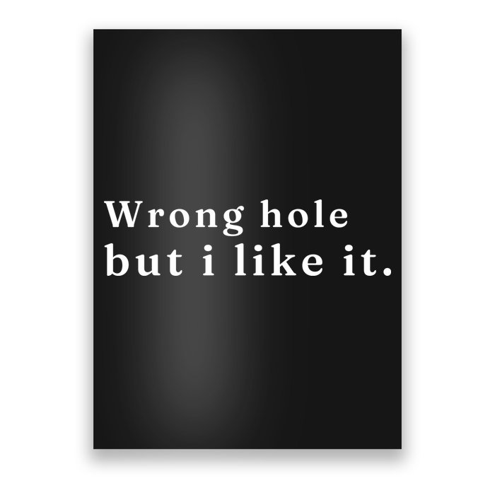 Wrong Hole But I Like It Funny Poster