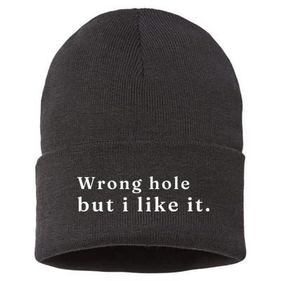 Wrong Hole But I Like It Funny Sustainable Knit Beanie