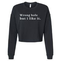 Wrong Hole But I Like It Funny Cropped Pullover Crew