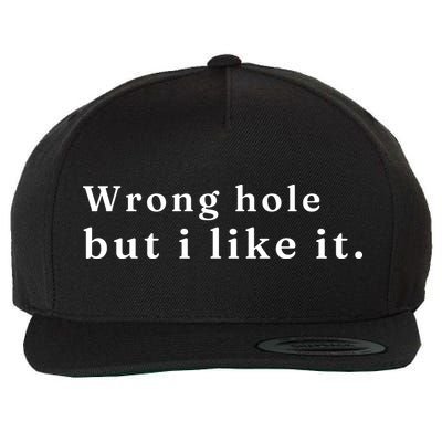 Wrong Hole But I Like It Funny Wool Snapback Cap