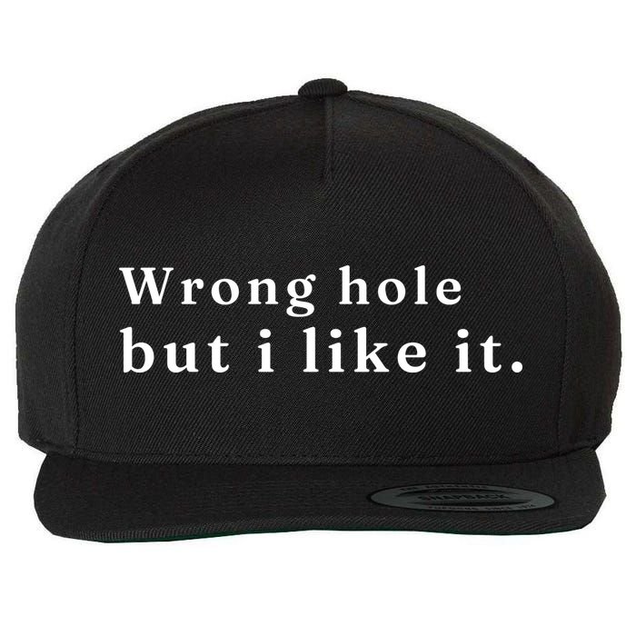 Wrong Hole But I Like It Funny Wool Snapback Cap