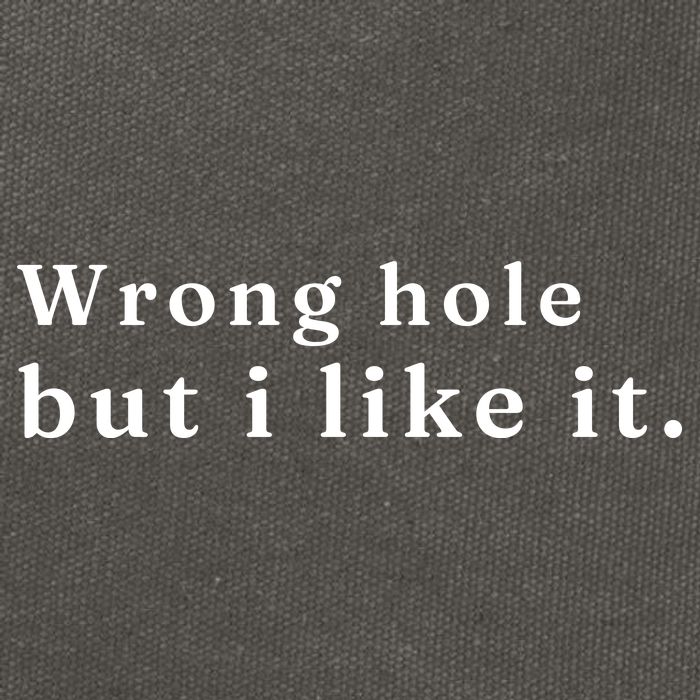 Wrong Hole But I Like It Funny Cotton Canvas Backpack