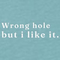 Wrong Hole But I Like It Funny Sueded Cloud Jersey T-Shirt