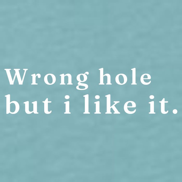 Wrong Hole But I Like It Funny Sueded Cloud Jersey T-Shirt